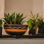 Casa Amaya